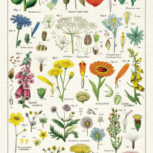 Wildflowers viskestykke