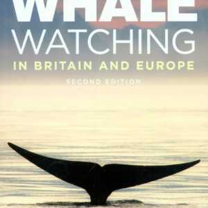 Guide To Whale Watching In Britain And Europe | Bog
