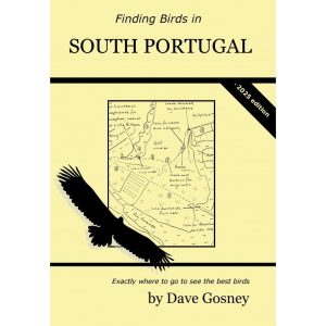 Finding Birds in South Portugal | Rejseguide
